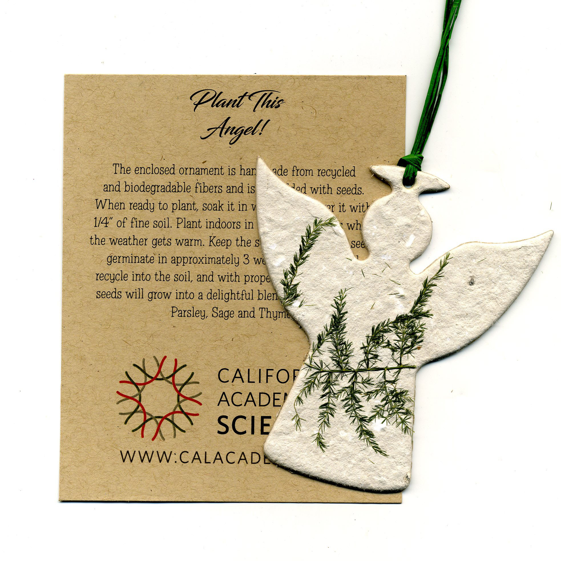 Seed paper Ornaments